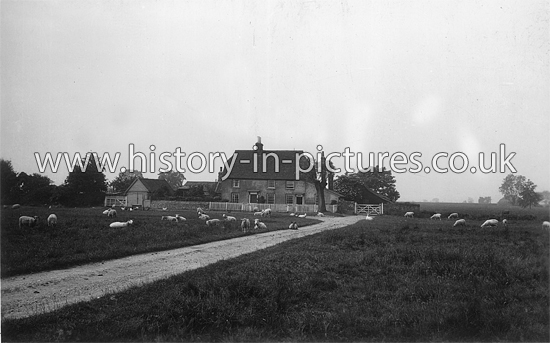 A View in Hatfield Heath, Essex. c.1920's